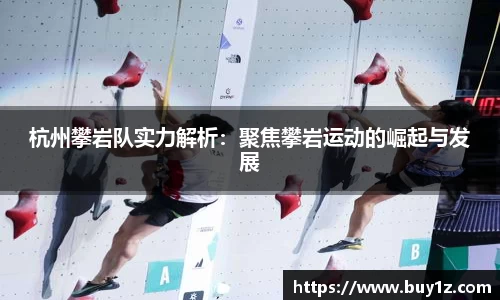 3377体育官网